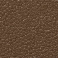 Cブラウン（抗菌レザー）