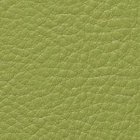 Cグリーン（抗菌レザー）