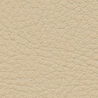 ライトベージュ