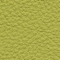 ライトグリーン