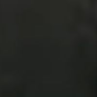 こだま(ブラック)