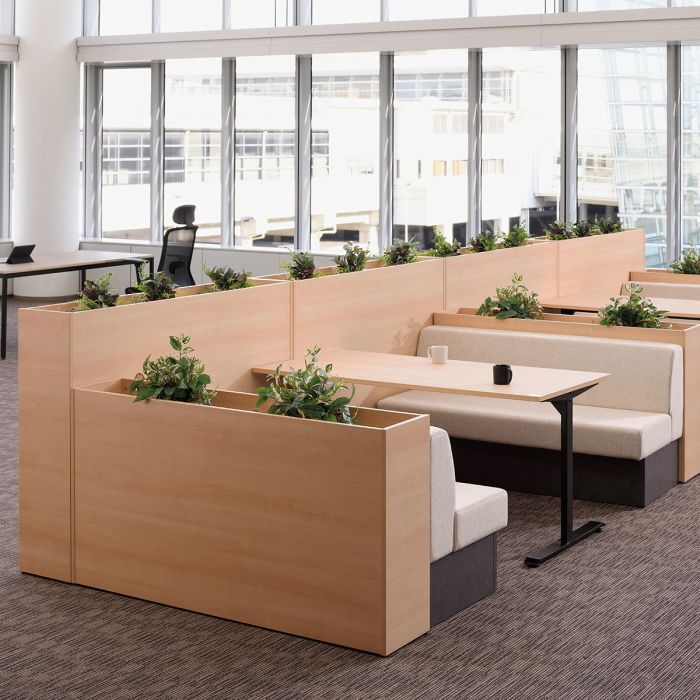 「対立脚」のイメージ画像