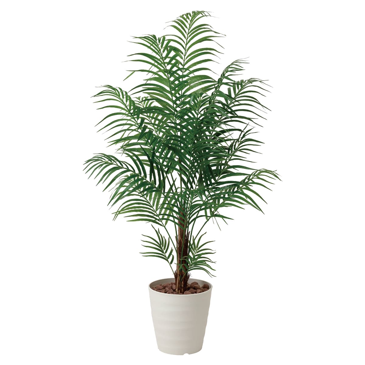 G-AP15 アレカパーム1.5-画像1