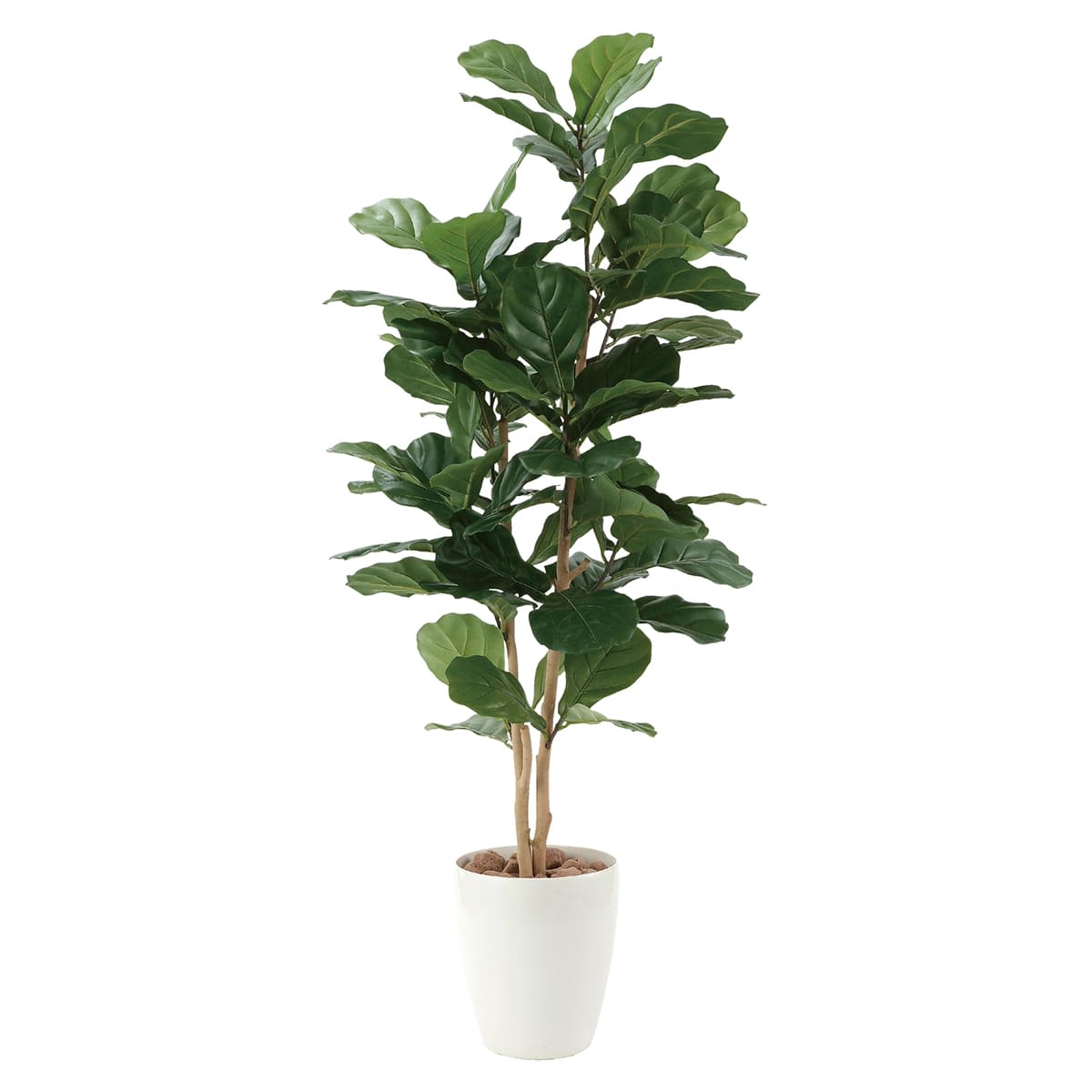 G-KB135 カシワバゴム1.35-画像1