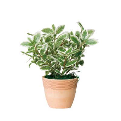 G-MLGW ミニリーフG／W