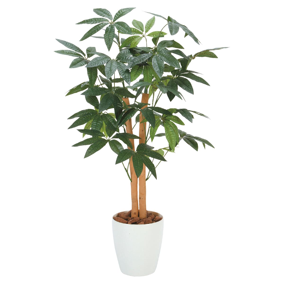 G-PK90 パキラ90-画像1