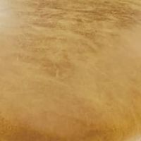 キャメル