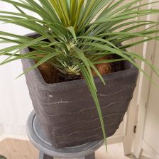 グリーンベース GRNB-200