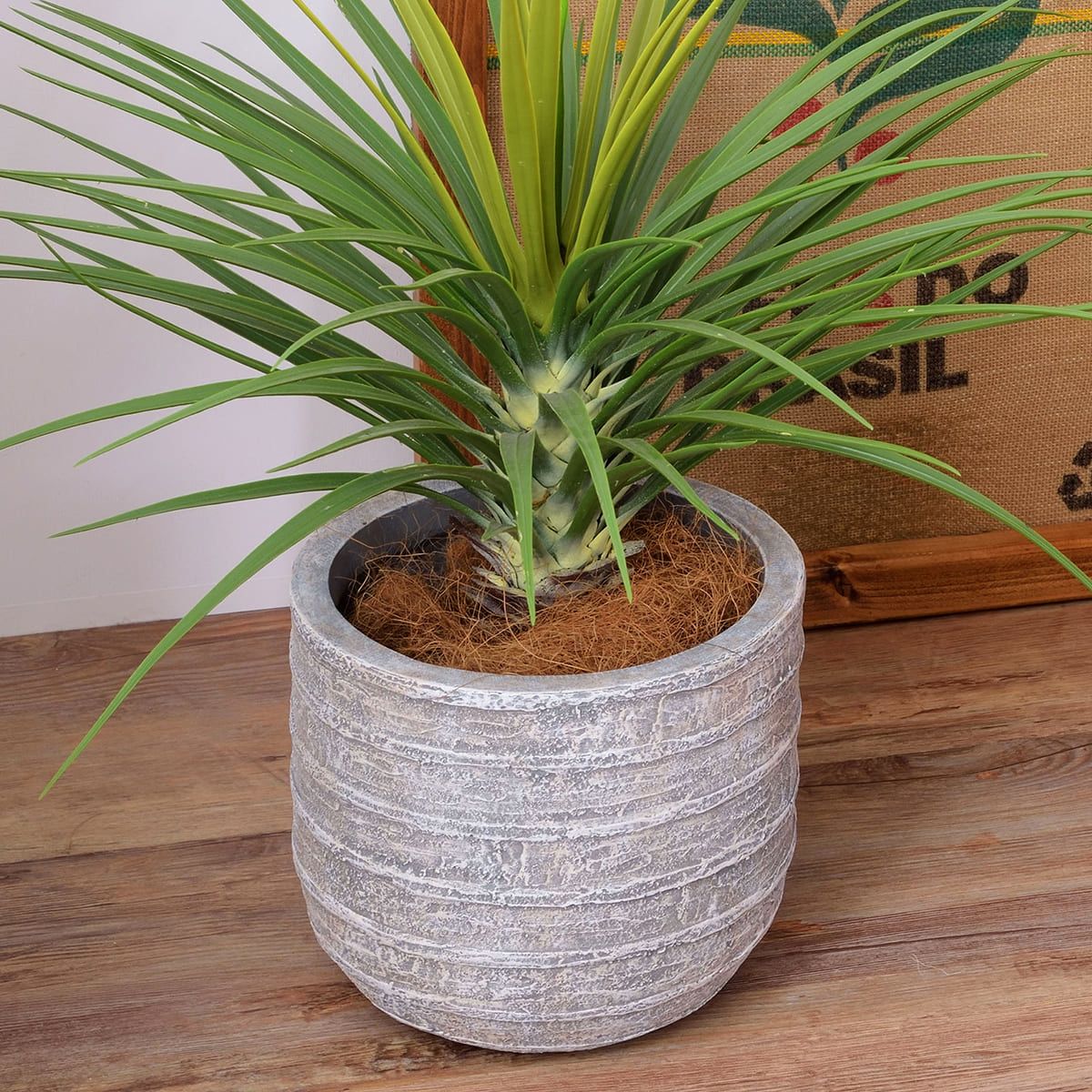 グリーンベース GRNB-203シリーズ-画像1