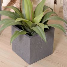 グリーンベース GRNB-208