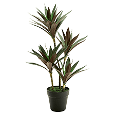 「人工観葉植物」カテゴリのイメージ画像