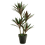 人工観葉植物ページのイメージ画像