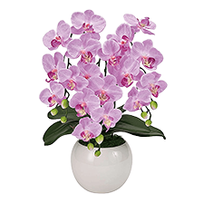 「造花」カテゴリのイメージ画像
