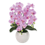 造花ページのイメージ画像