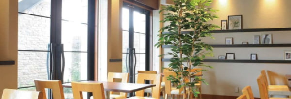 「大型フェイクグリーン」のイメージ画像