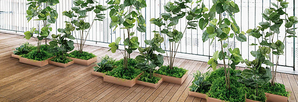 「フロアグリーン」のイメージ画像