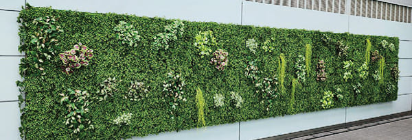 「ウォールグリーン」のイメージ画像