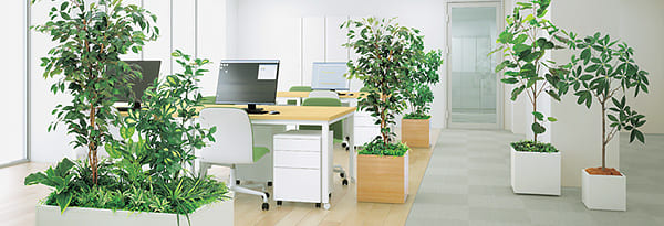 「人工観葉植物」のイメージ画像