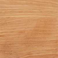 バーチ（カバ）赤白源平