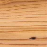 国産杉（節有）