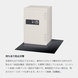小型防犯鉄庫 LK-SS-PK テンキー式+シリンダー式｜エーコーの金庫