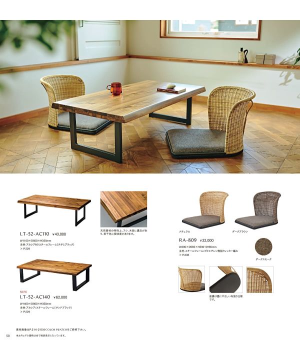 RA-809のカタログ画像-1