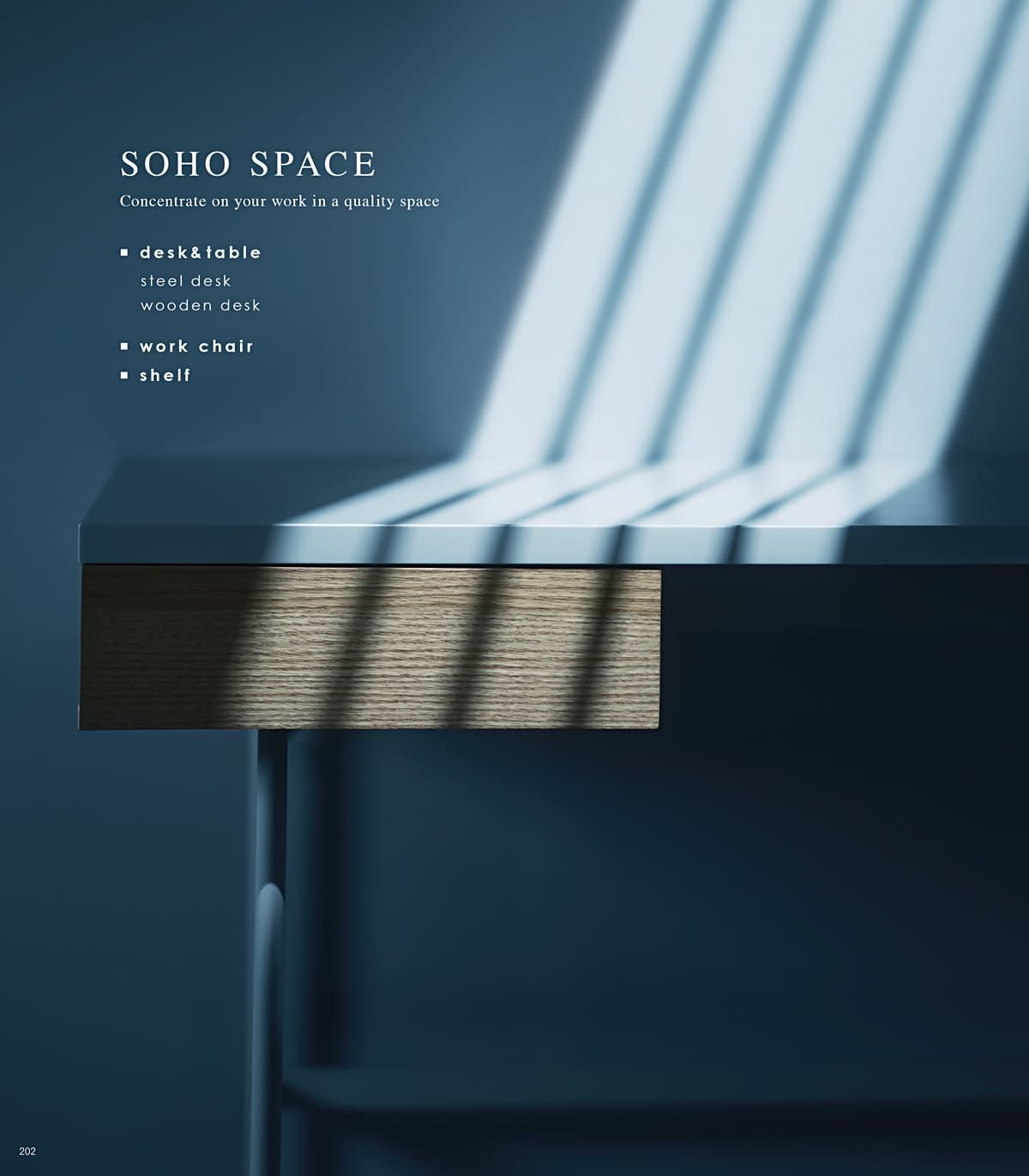 ホームデイ HOMEDAY カタログ P202