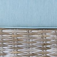 ホワイトウォッシュ