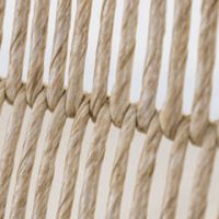 ホワイトシェル