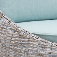 ホワイトウォッシュ