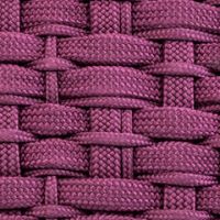 ラズベリー（デュオ）