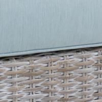 ホワイトウォッシュ