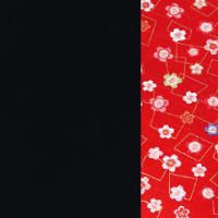 半面 桜