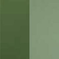 利休×利休ねず