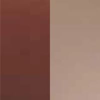 かれ茶×ベージュ