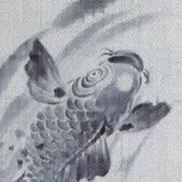 夫婦鯉