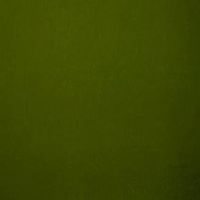 モスグリーン