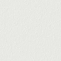 シャイニーホワイト