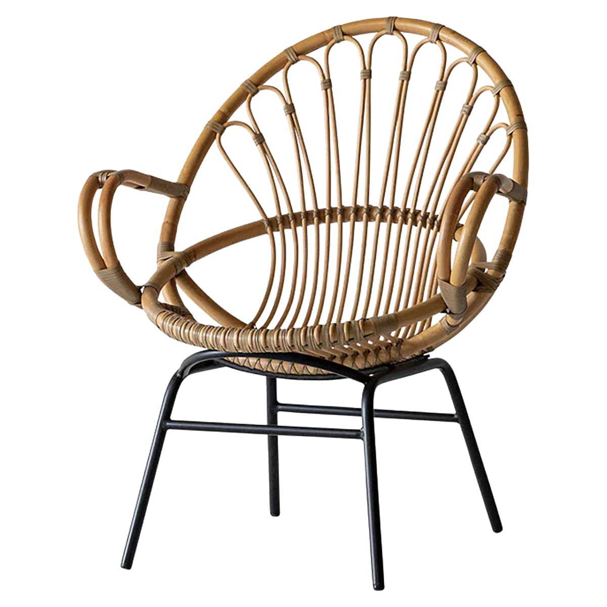 ノットアンティークス ビバルディⅡ ラウンジチェア-画像1