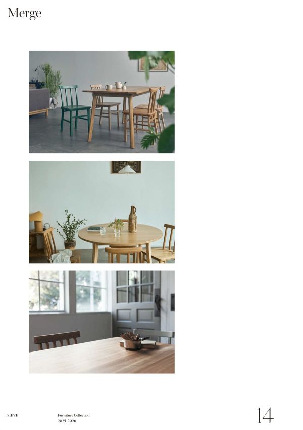 SVE-DT003R110(NA)のカタログ画像-4