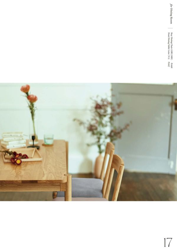 SVE-DT006M(NA)のカタログ画像-5