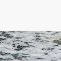 ホワイト/ライト