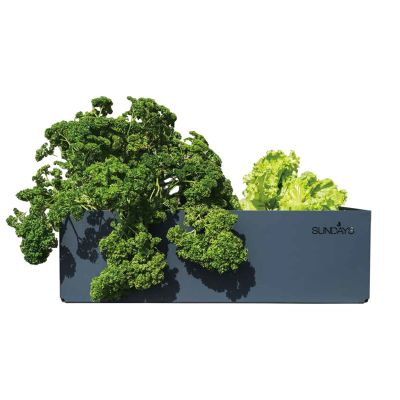 フレーム プランター