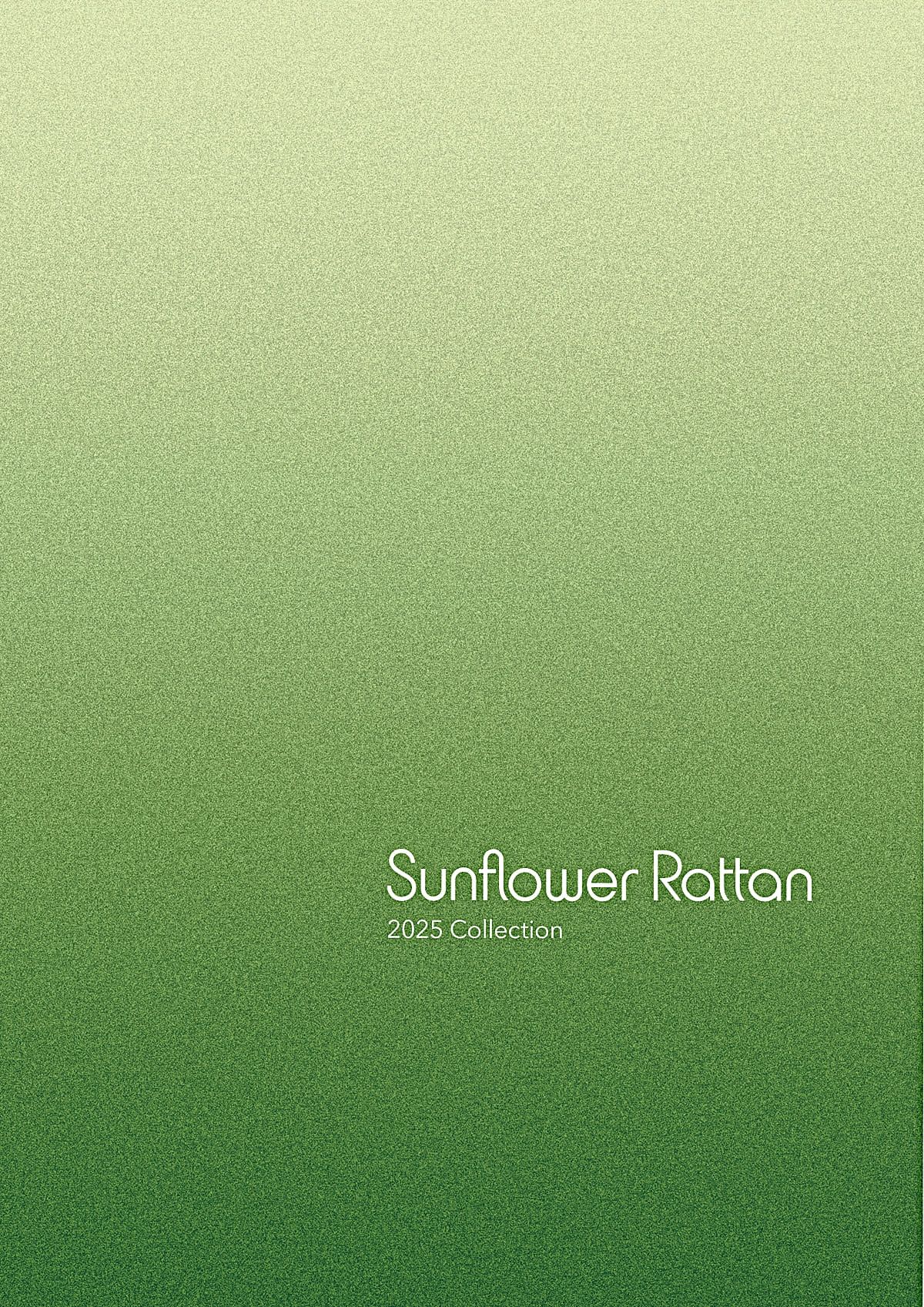 undefined カタログ