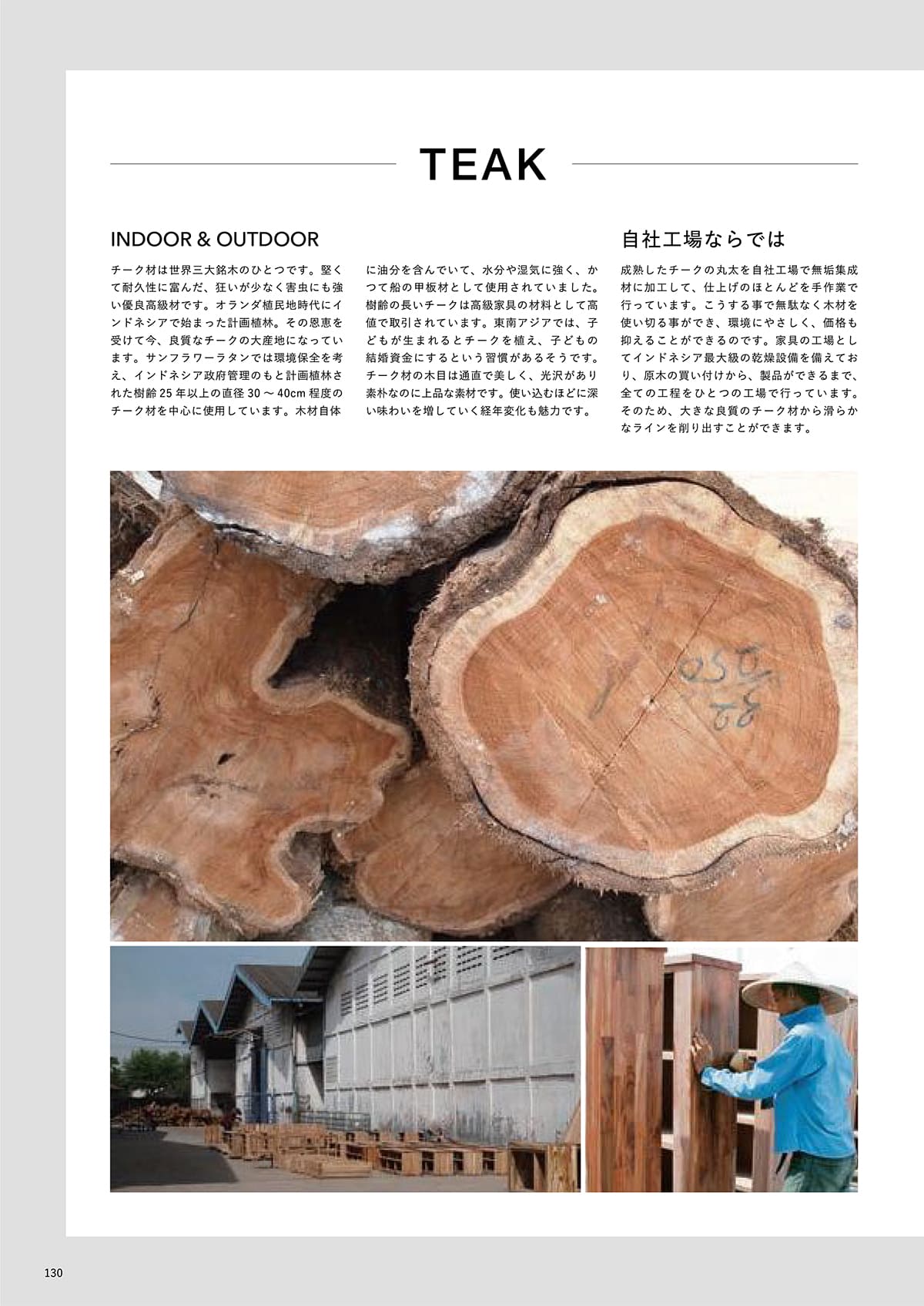 サンフラワーラタン カタログ P130