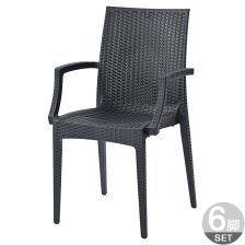 PPアームチェア 6脚セット C1602PDG6