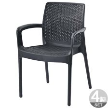 PPアームチェア 4脚セット C1605PDG4