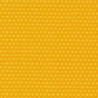 マリーゴールド