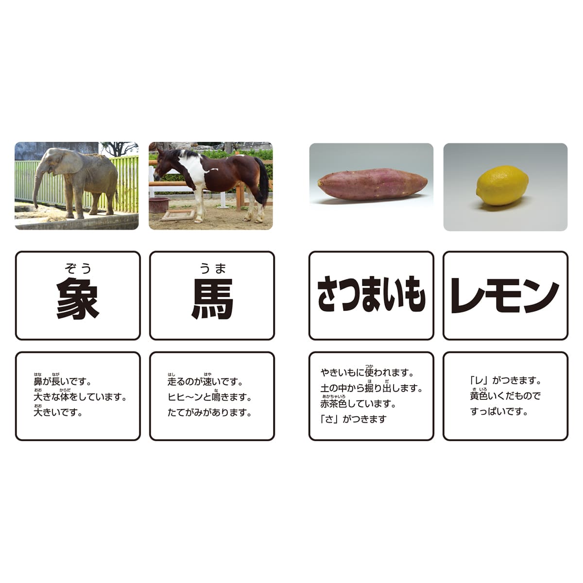 これは何でしょう？CD付-画像1
