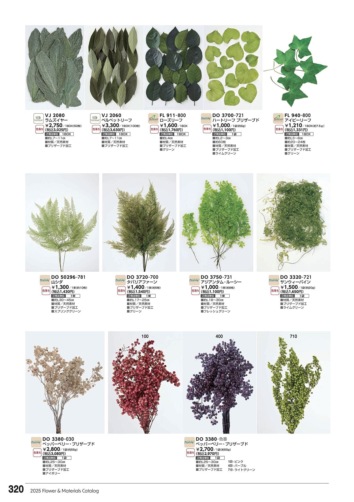 東京堂 Tokyodo カタログ P320